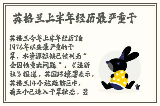 蜜芽跳转接口点击进入网站免费